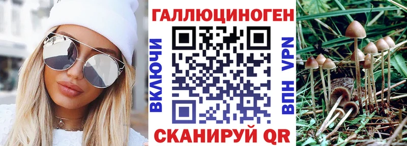 Галлюциногенные грибы прущие грибы  Соль-Илецк 